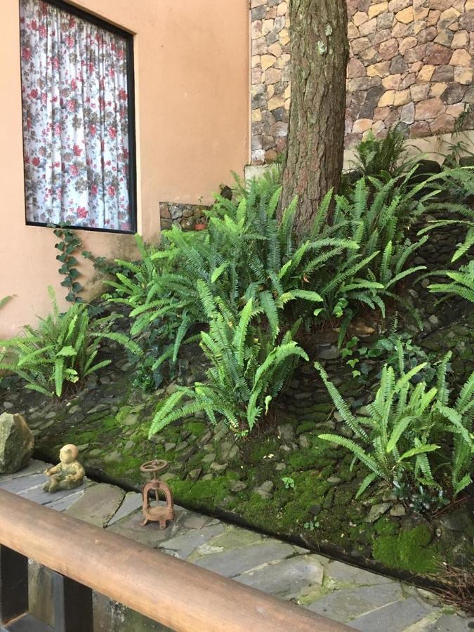 Mi Casa De Valle バジェ・デ・ブラボ エクステリア 写真