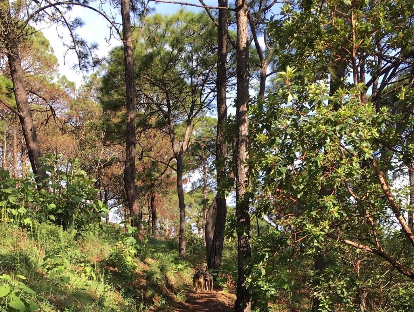 Mi Casa De Valle バジェ・デ・ブラボ エクステリア 写真